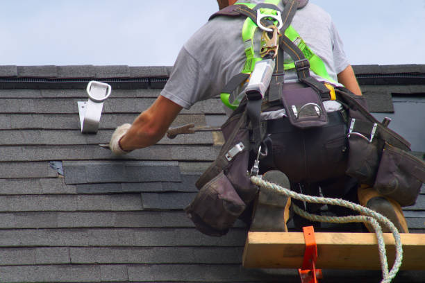 Best Emergency Roof Repair  in Pocomoke City, MD