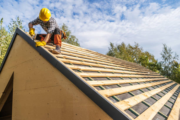 Best Metal Roofing Contractor  in Pocomoke City, MD